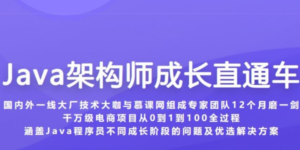 Java架构师成长直通车-40周【完结】-1筹百汇